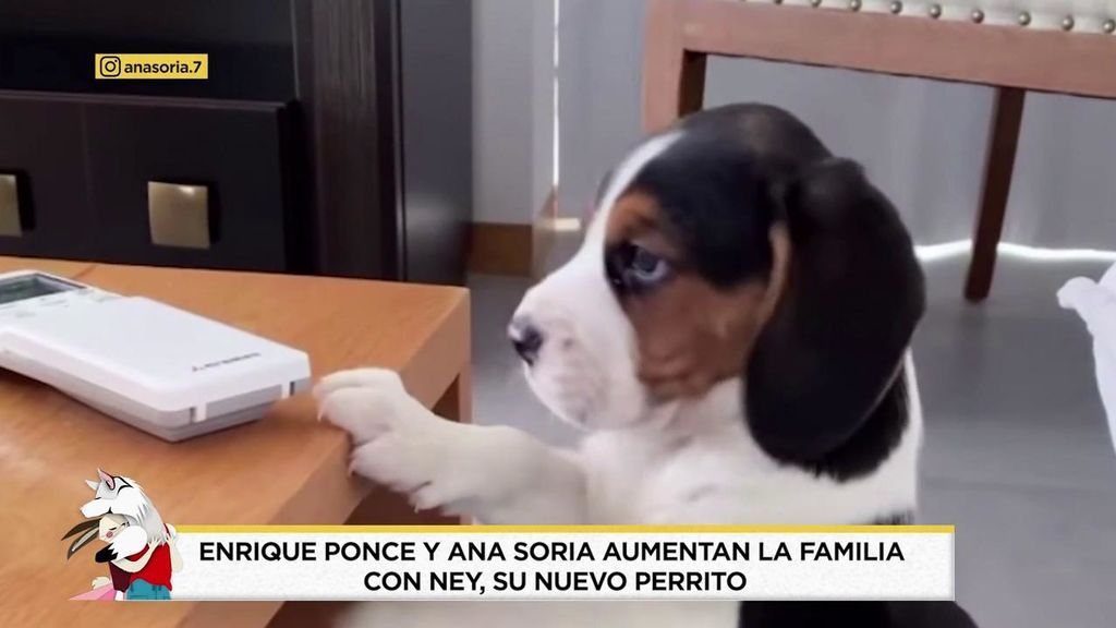 2020_12_06-1241-REC_Telecinco_REC.ts.0x0.144653264450100