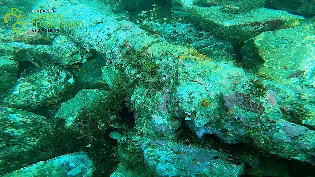 El cañón de un pecio en la bahía de Algeciras