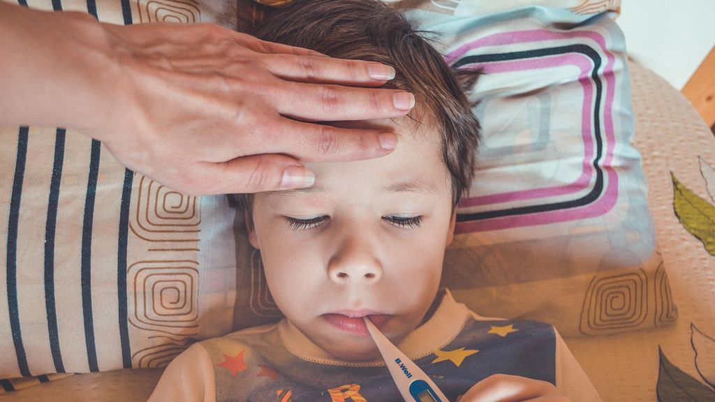 La supremacía genética del coronavirus y las restricciones dejan un otoño sin otros virus respiratorios La supremacía genética del coronavirus y las restricciones dejan un otoño sin otros virus respiratorios