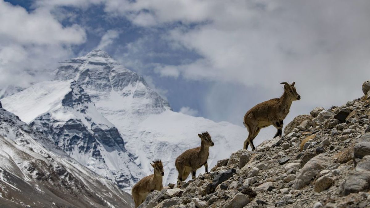 El Everest ha crecido: China y Nepal acuerdan su altitud definitiva