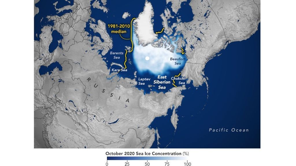 arctic_ssi_2020_october