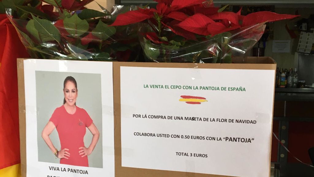 Un bar de Cádiz vende macetas para recaudar dinero para la Pantoja