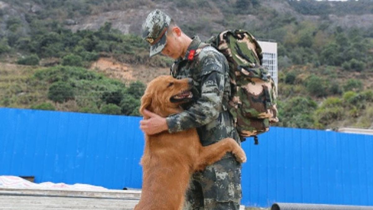 perro-militar-niega-retiro-soldado-adiestrador