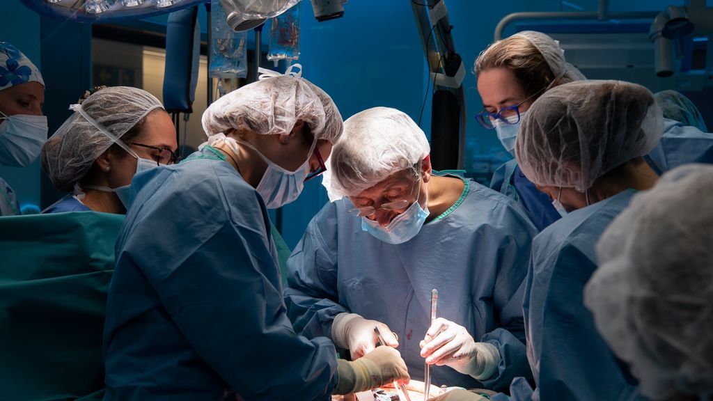 Primer trasplante de útero en España: la donante es hermana de la paciente Primer trasplante de útero en España: la donante es hermana de la paciente