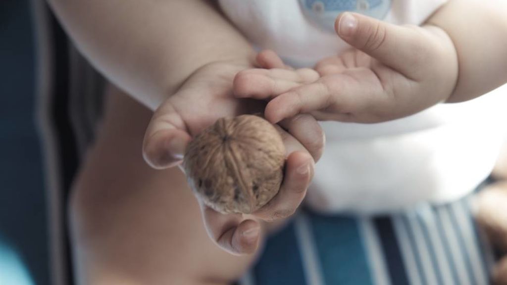 La alergia a los frutos secos, una patología muy común en niños: cuáles son sus síntomas y cómo detectarla.