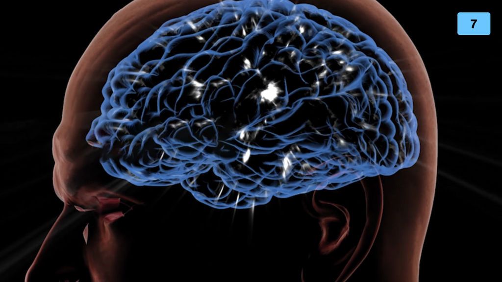 El cerebro humano funciona igual que el universo según un estudio
