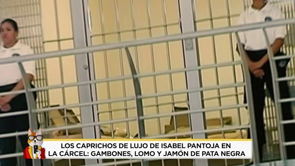 2020_12_12-1231-REC_Telecinco_REC.ts.0x0.144699865758900