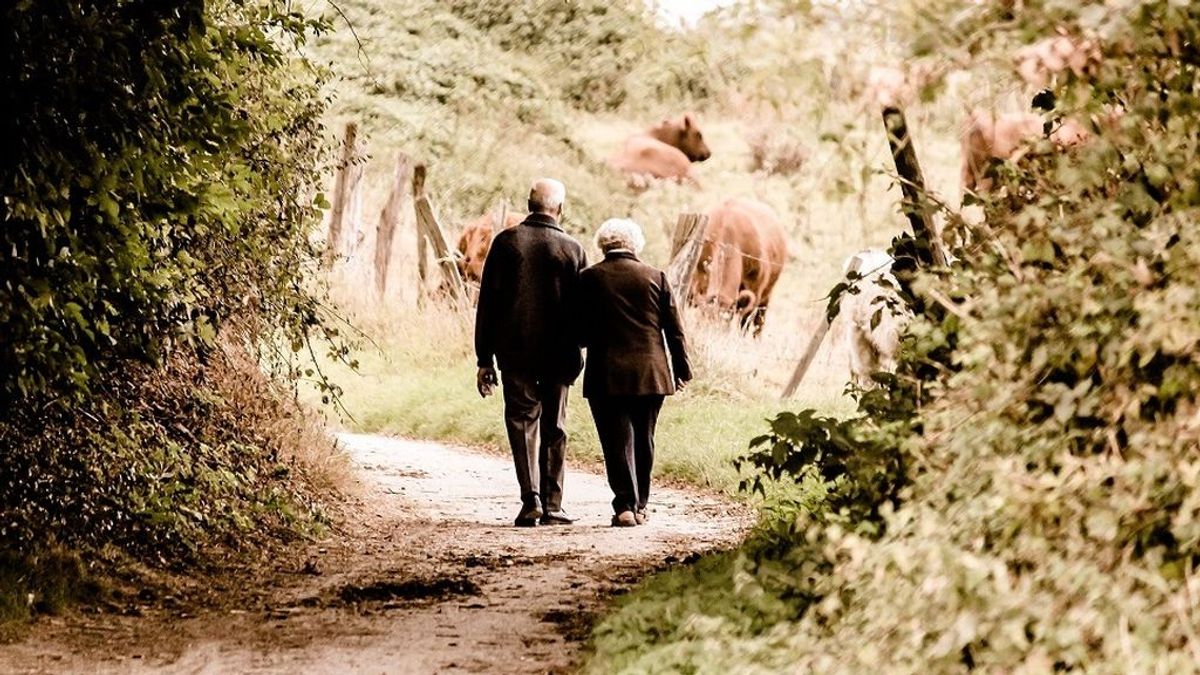 La edad legal de jubilación subirá a 66 años desde enero y la pensión se calculará con 24 años cotizados La edad legal de jubilación subirá a 66 años desde enero y la pensión se calculará con 24 años cotizados
