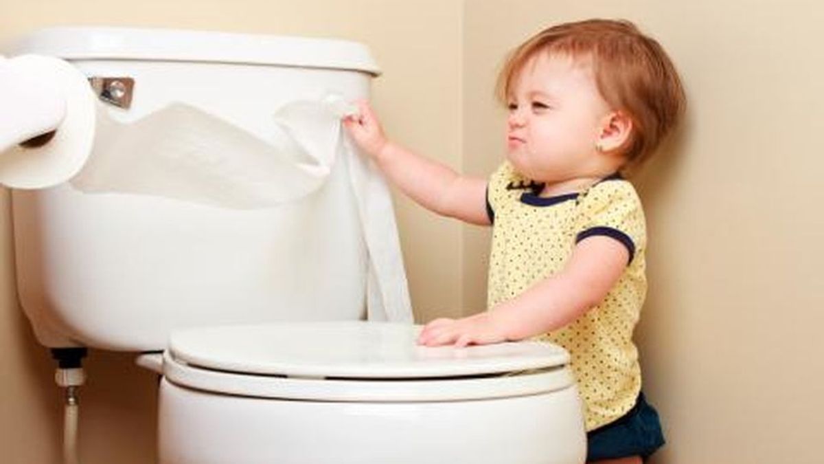 13 adaptadores o reductores de WC que ayudarán al niño a dejar el pañal e  ir al baño solito