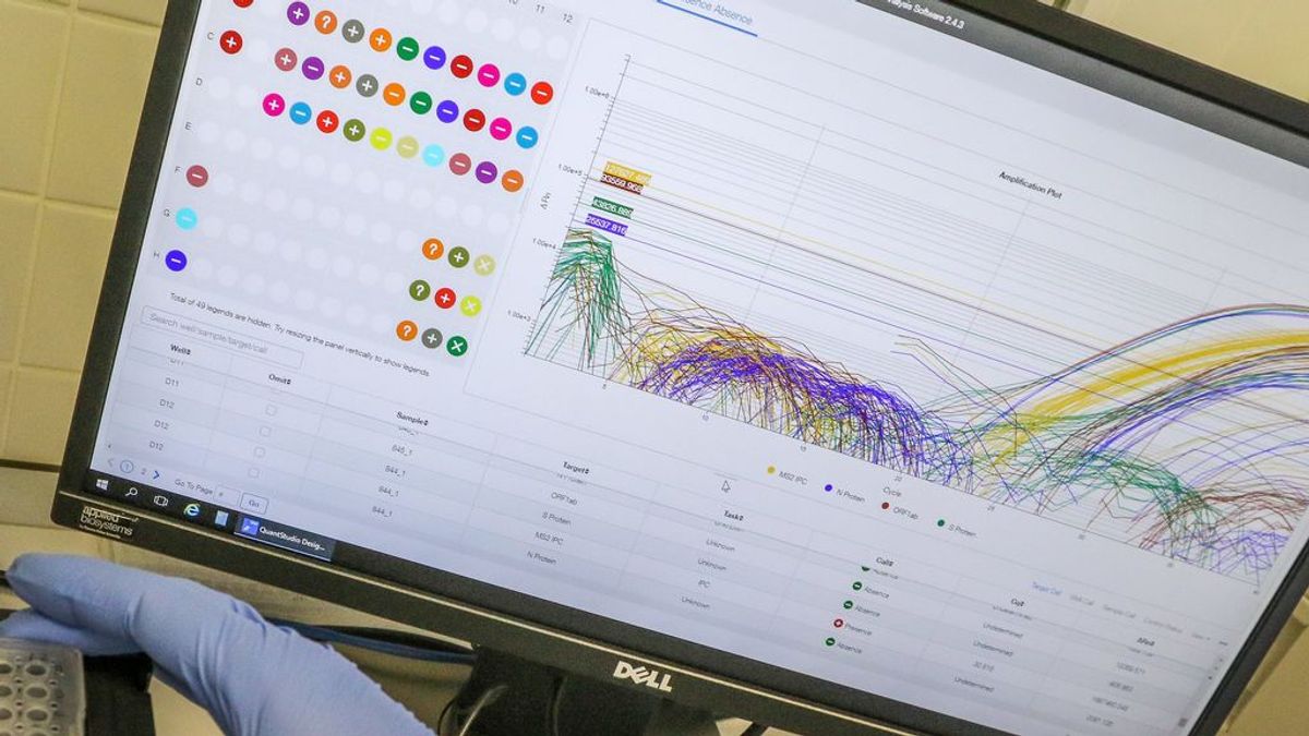 Detenida por vender certificados falsos de PCR por Internet a 40 euros Detenida por vender certificados falsos de PCR por Internet a 40 euros