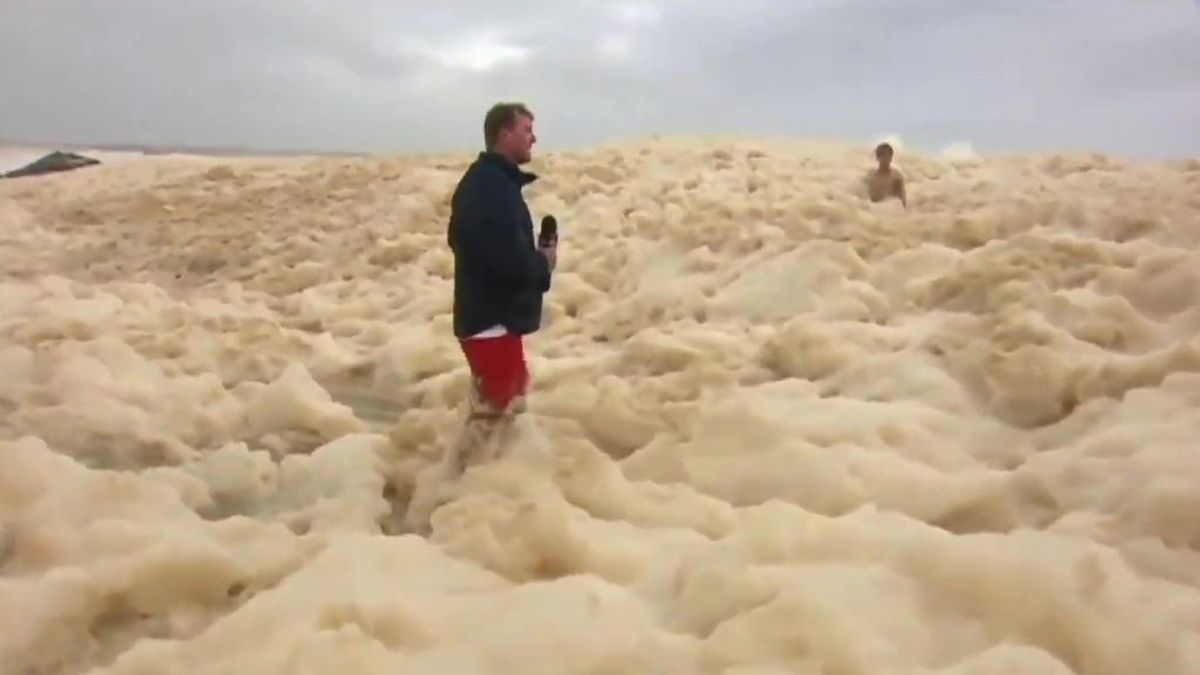 "Hazel, ¿dónde estas?": una tormenta de espuma entierra a un perro en una playa de Australia