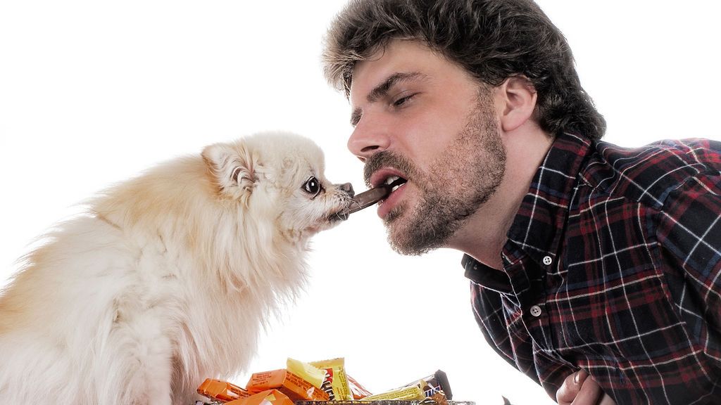 Cuidar la alimentación de nuestras mascotas ayuda a prevenir enfermedades como el sobrepeso