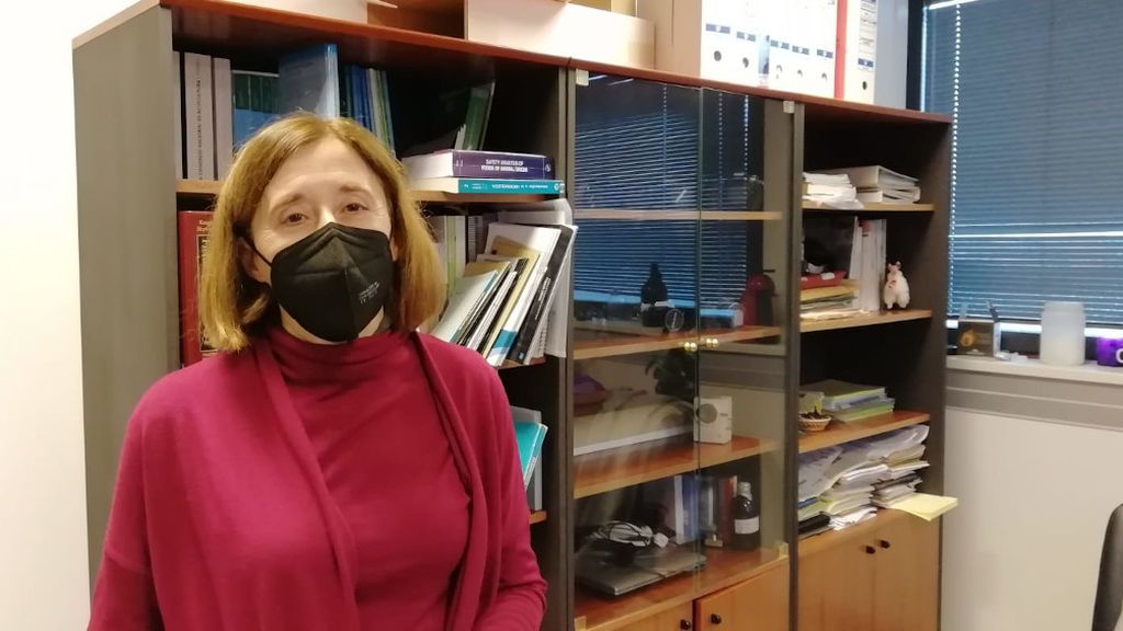 Isabel Bandín, viróloga, sobre la nueva cepa de Reino Unido: “Si ya teníamos que preocuparnos, ahora más” Isabel Bandín, viróloga, sobre la nueva cepa de Reino Unido: “Si ya teníamos que preocuparnos, ahora más”