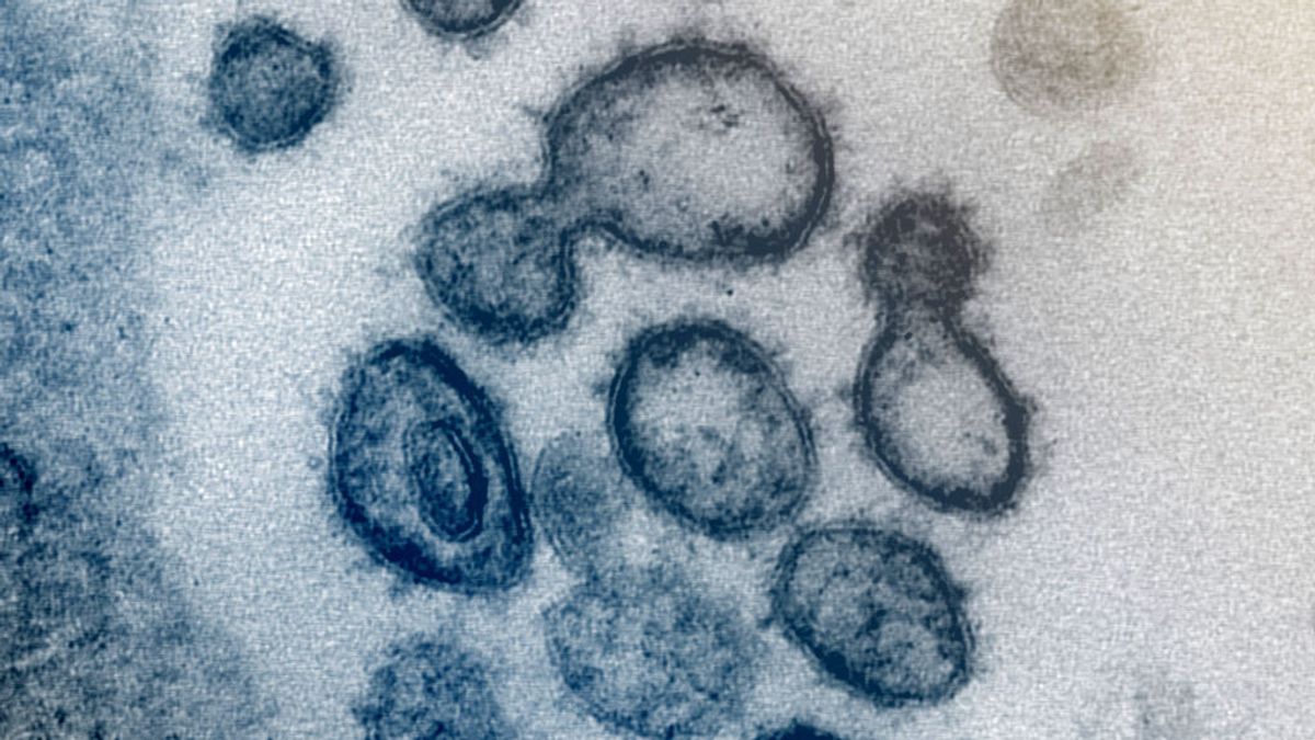 ¿Qué sabemos sobre la nueva variante del coronavirus? ¿Qué sabemos sobre la nueva variante del coronavirus?