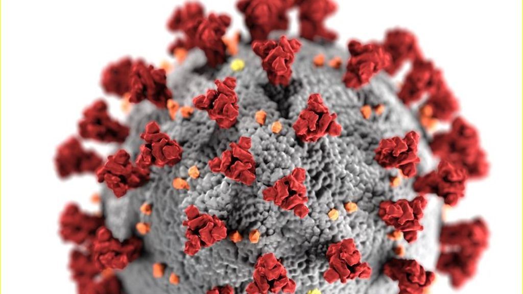 ¿Debemos preocuparnos por la nueva variante del coronavirus? 21 diciembre 2020 18:35 CET ¿Debemos preocuparnos por la nueva variante del coronavirus? 21 diciembre 2020 18:35 CET