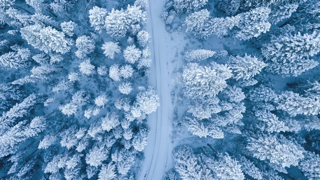 Cuatro planetas harán brillar el cielo durante todo el invierno que estrenamos hoy Cuatro planetas harán brillar el cielo durante todo el invierno que estrenamos hoy