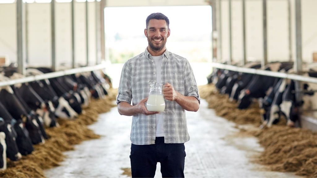 Productos lácteos sin riesgos: las buenas prácticas del sector para dar todas las garantías al consumidor