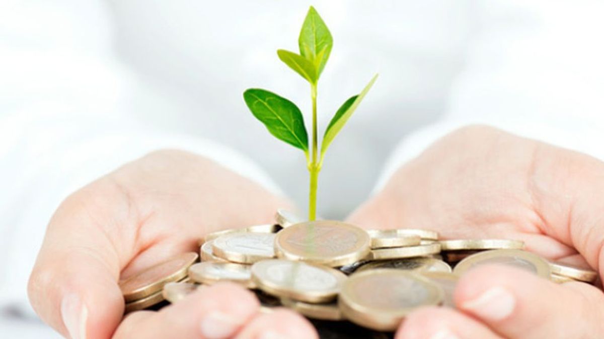 Qué son las ‘finanzas verdes’ que te va a ofrecer tu banco