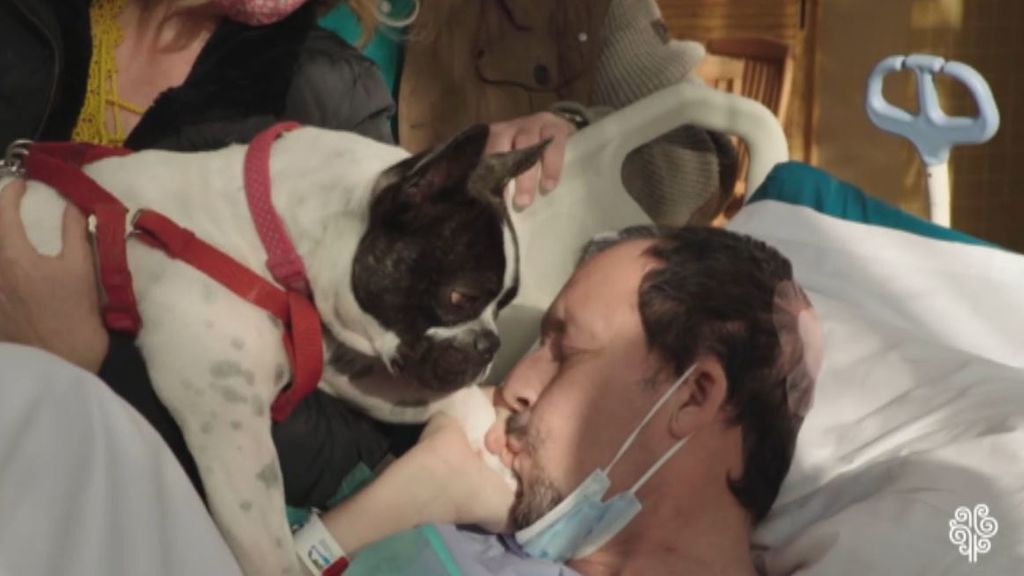 Un paciente ingresado en la UCI del Hospital de Torrevieja mejora tras la visita de su perra: "Está siempre ahí"