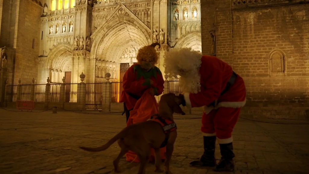 Los perros de rastro de la unidad canina, claves en labores de búsqueda, ayudan a encontar a Papá Noel