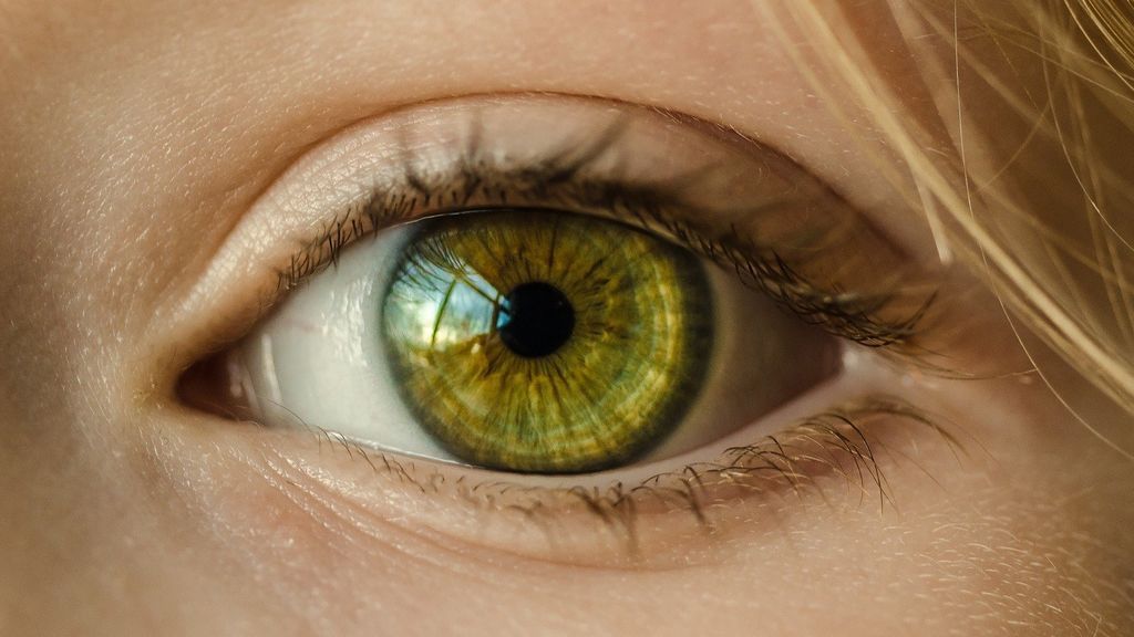 Unos científicos "resucitarán" ojos de fallecidos para investigar tratamientos contra la degeneración ocular