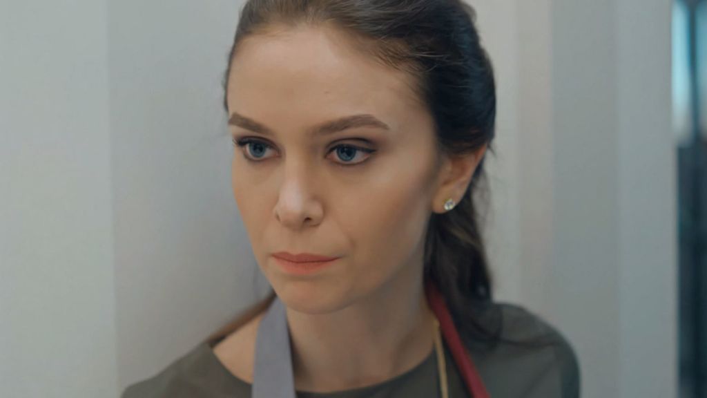 Ceyda planea arruinar el plan de Sinan