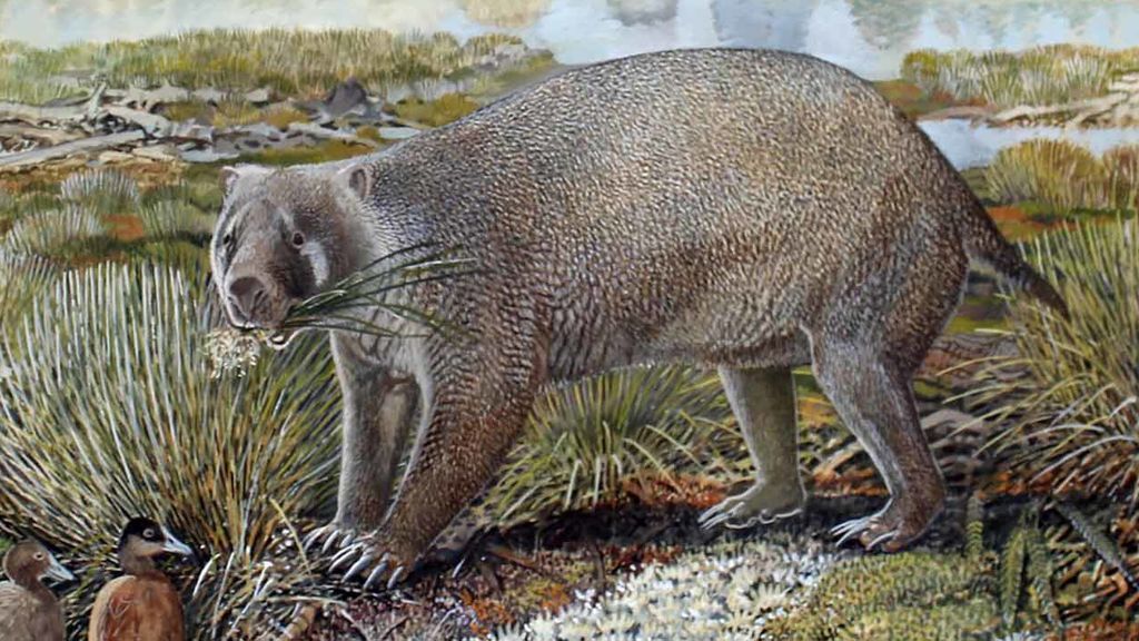 new-species-2020-wombat-hero