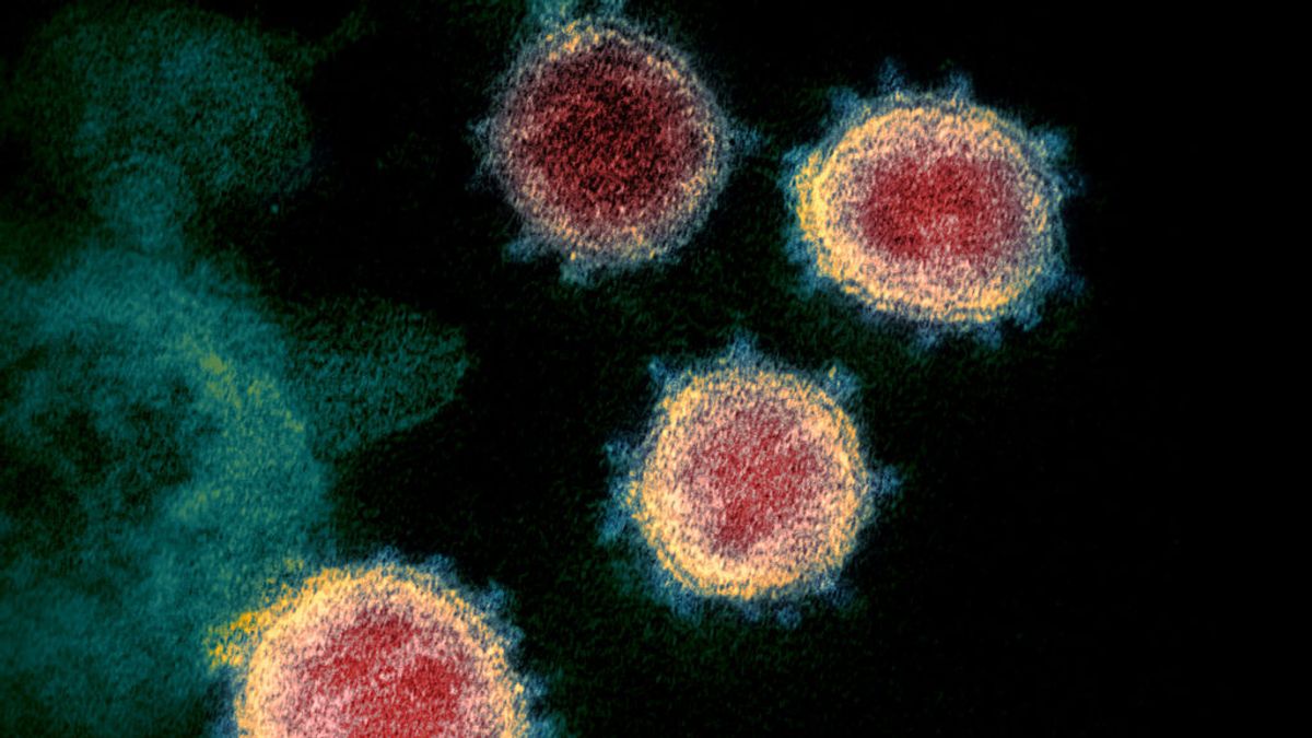 Un experto alerta sobre la nueva variante del coronavirus: "Habrá más infecciones, más hospitalizaciones y más muertes"