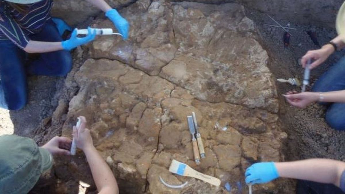 Descubren en Valencina (Sevilla) restos "excepcionales" de una cabaña prehistórica