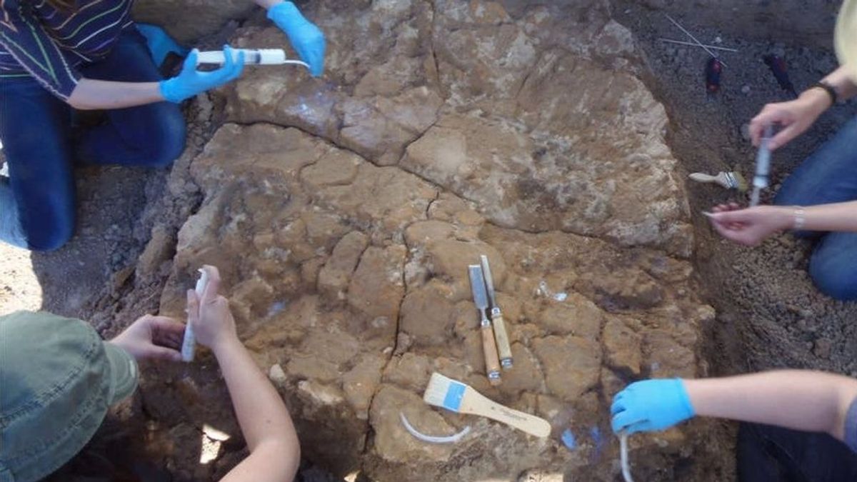 Descubre en un pueblo de Sevilla restos "excepcionales" de una cabaña prehistórica en "notable" estado de conservación