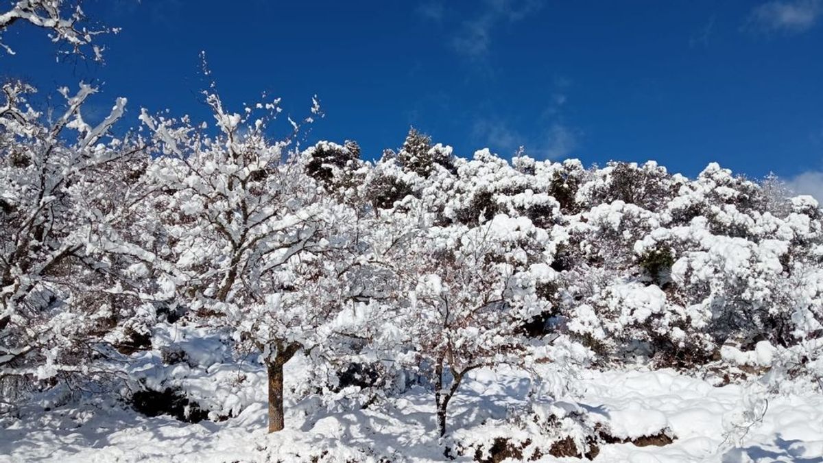 La borrasca Filomena llega a España: el jueves se extienden las nevadas a cotas bajas