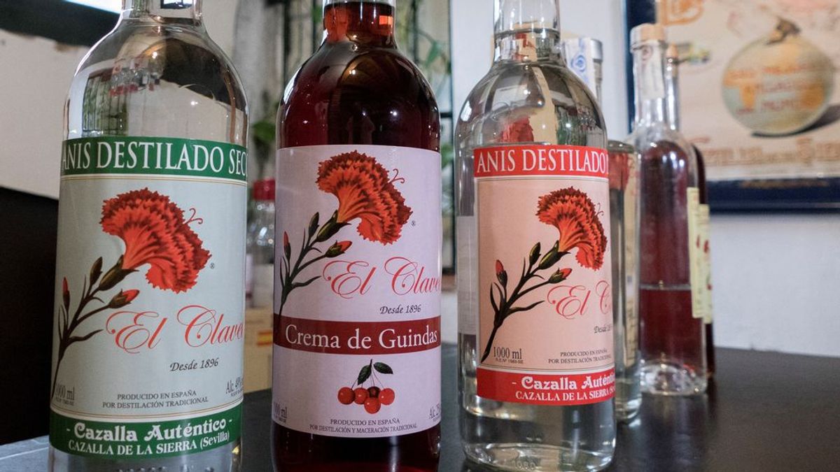 Pablo Iglesias se disculpa con Cazalla de la Sierra por menospreciar su aguardiente Pablo Iglesias se disculpa con Cazalla de la Sierra por menospreciar su aguardiente