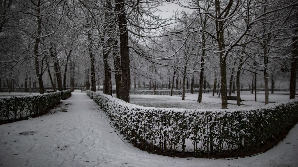 nieve retiro nieve retiro