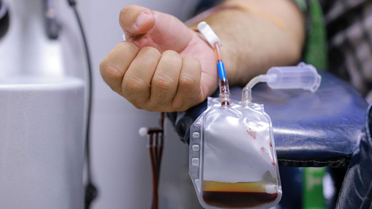 Transfusiones de plasma: un estudio afirma que podrían convertir el Covid-19 en "un mal catarro" para los mayores de 65