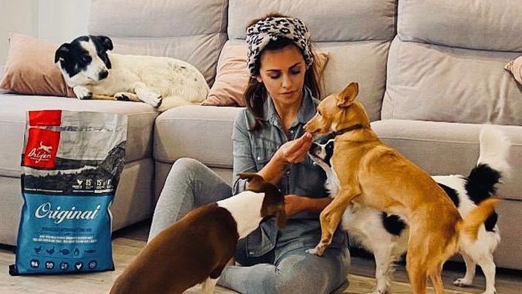 Así es personal de Mónica Cruz: su sus perros, sus novios - Divinity