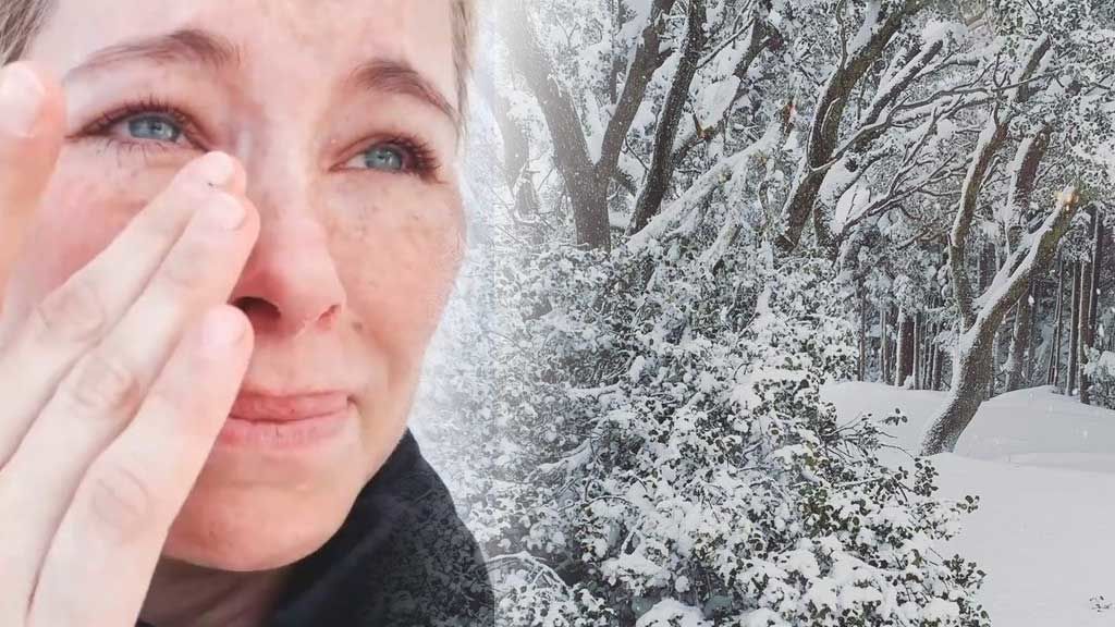 Soraya Arnelas, destrozada por la caída de los árboles de su jardín tras la nevada: "Sentí que estaban sufriendo mucho"