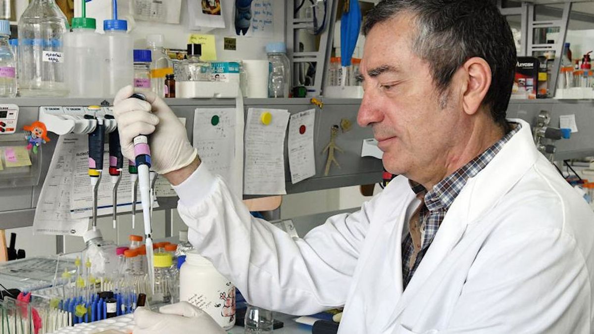 Vacuna contra la covid investigadores gallegos Vacuna contra la covid investigadores gallegos