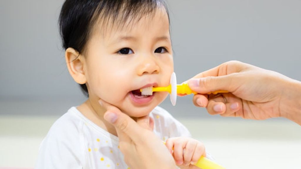 Los dientes comenzarán a aparecer a partir de los seis meses, aunque dependerá de cada niño.