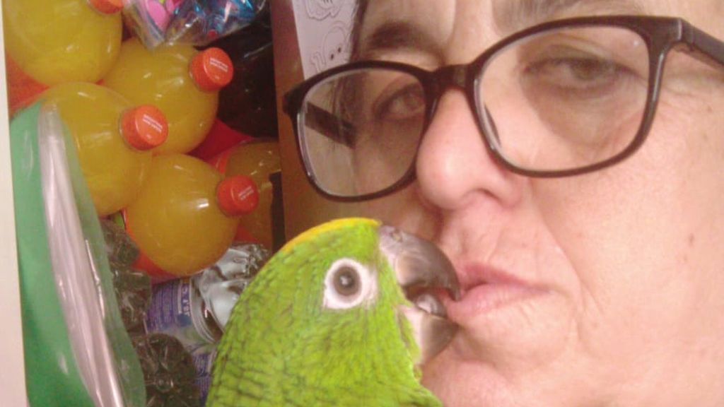Rescate loro Sevilla