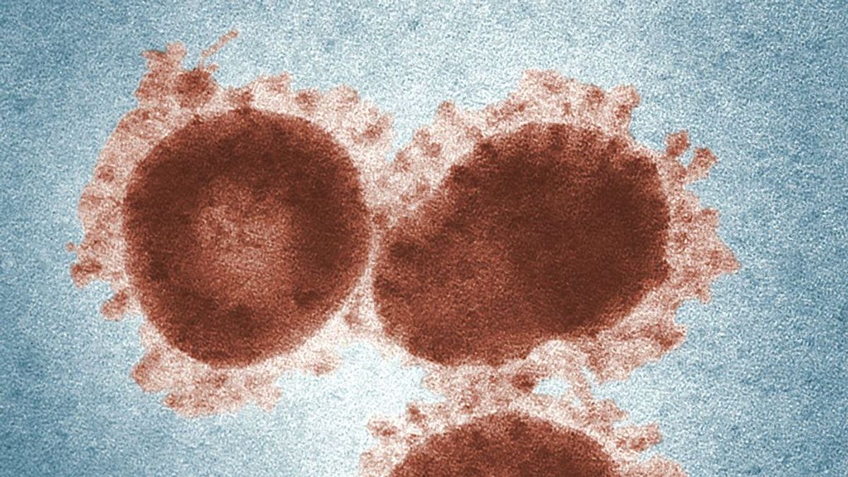 El virus del papiloma humano en hombres es más peligroso de lo que piensas. Estos son los síntomas y el tratamiento El virus del papiloma humano en hombres es más peligroso de lo que piensas. Estos son los síntomas y el tratamiento