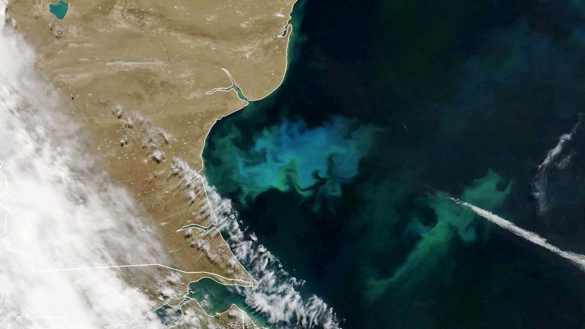 Un satélite capta un extraño brillo en el Atlántico sur frente a la costa argentina