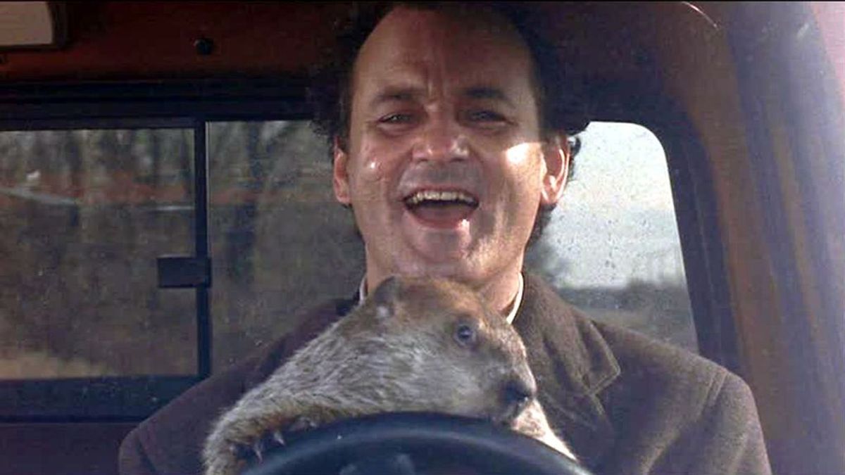 Bill Murray, romanos y los roedores meteorólogos: el verdadero origen del Día de la marmota