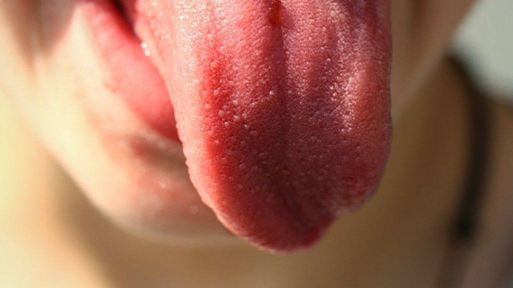 Lengua