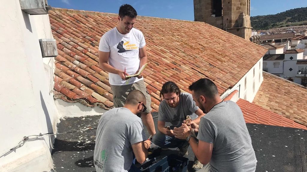 El grupo de anillamiento en el tejado de la iglesia