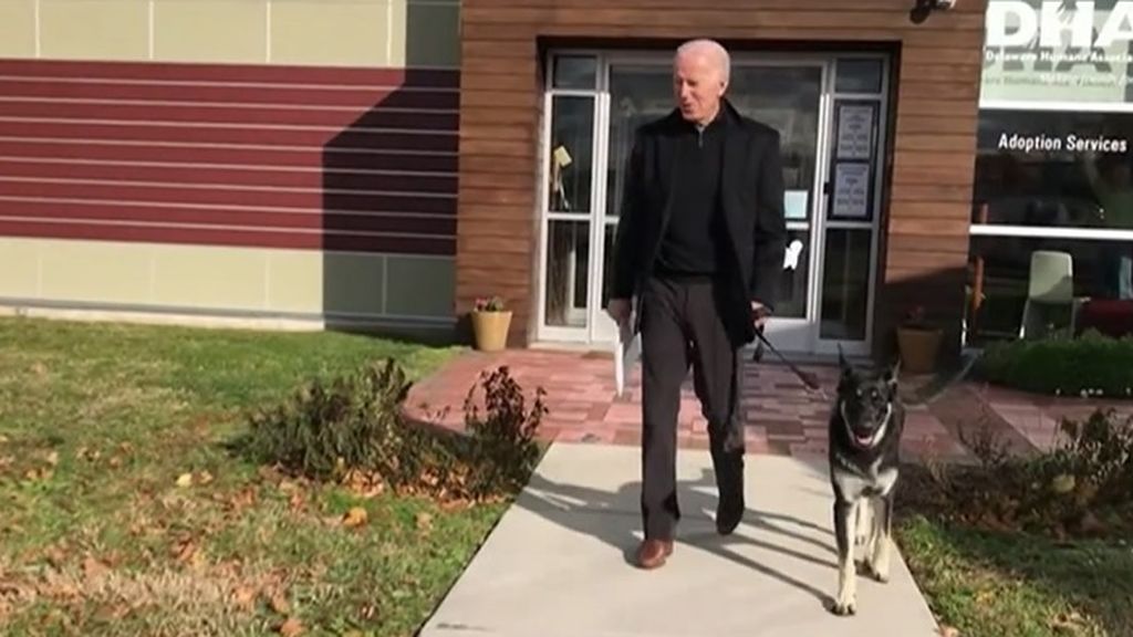 Major y Champ, los perros de Joe Biden que también llegan a la Casa Blanca