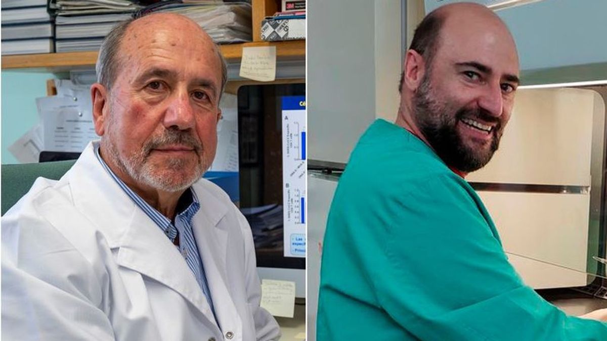 La vacuna del CSIC más adelantada para la covid-19 muestra una eficacia del 100% en ratones La vacuna del CSIC más adelantada para la covid-19 muestra una eficacia del 100% en ratones