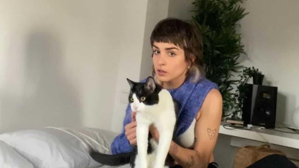 Fígaro, el gato adoptado de Natalia Lacunza que participa en novelas online