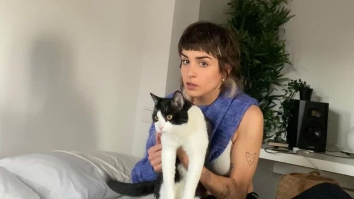 Fígaro, el gato adoptado de Natalia Lacunza que participa en novelas online