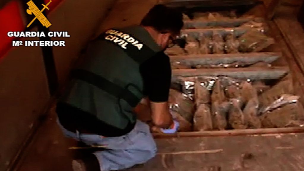 Cogollos de marihuana preparados para su transporte