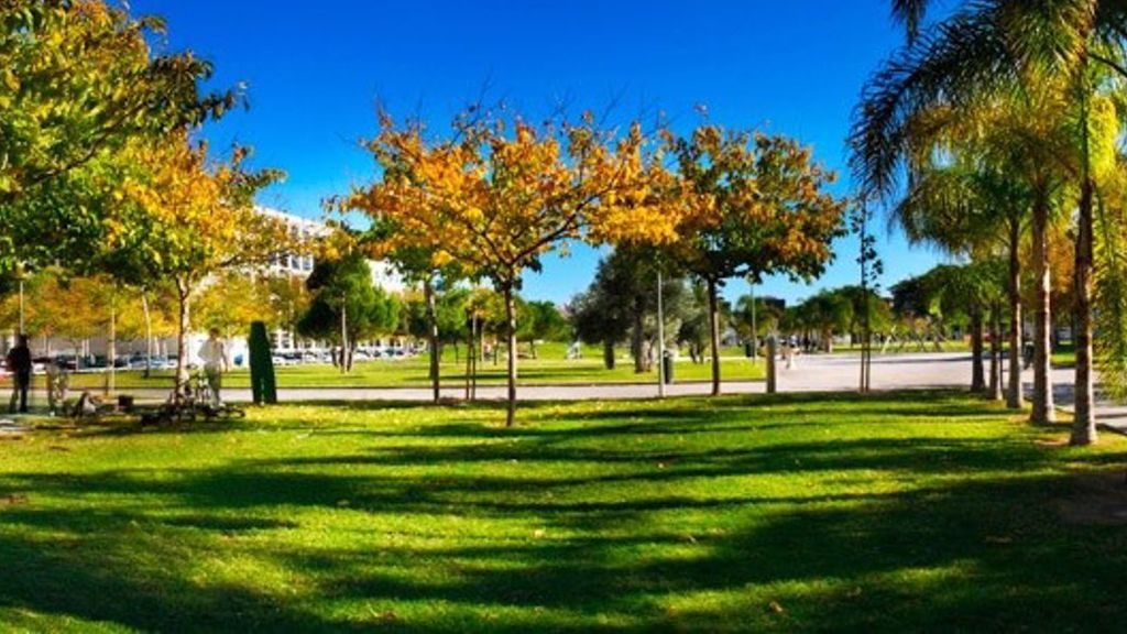 Las Universidades Públicas valencianas acuerdan la docencia online durante al menos el mes de febrero Las Universidades Públicas valencianas acuerdan la docencia online durante al menos el mes de febrero